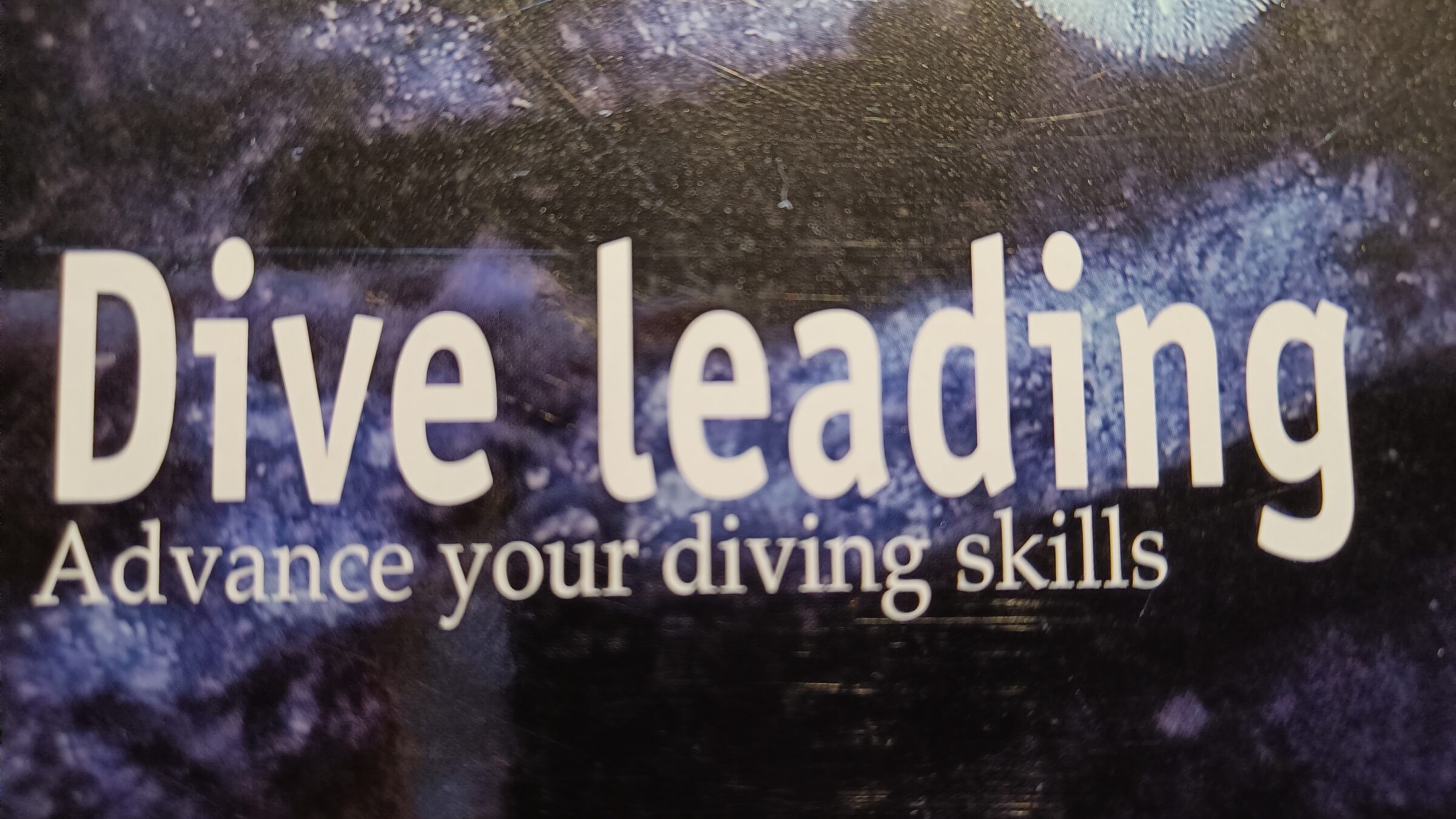 Dive Leading logo