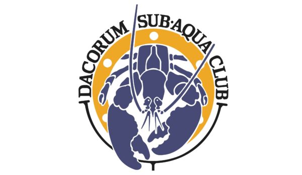 Meeting of the DSAC Committee