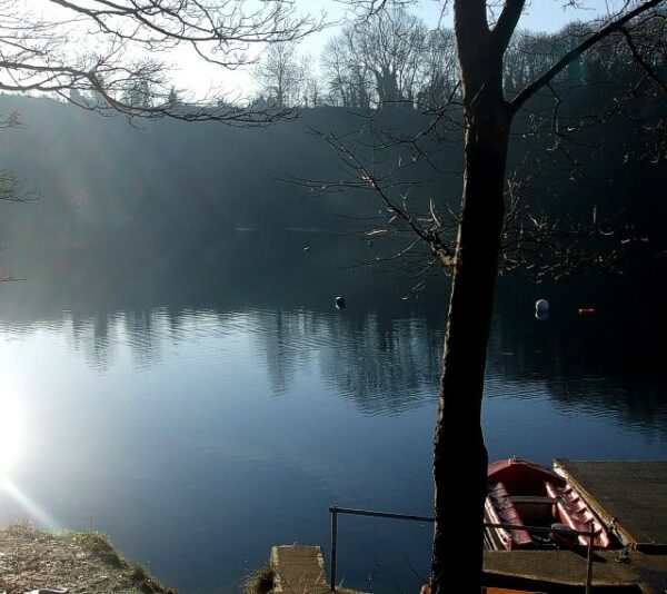 Club Dive Day, November 2025