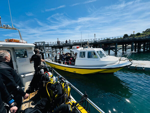 Swanage 2026, with Swanage Boat Charters