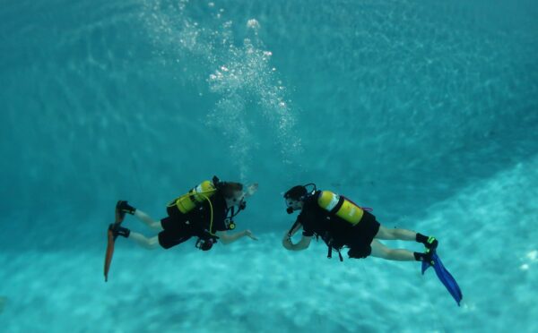 Ocean Diver 2026: Pool Training, Scuba Session 4