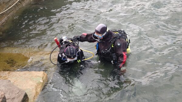 Ocean Diver 2026: Open Water Training (1/4)