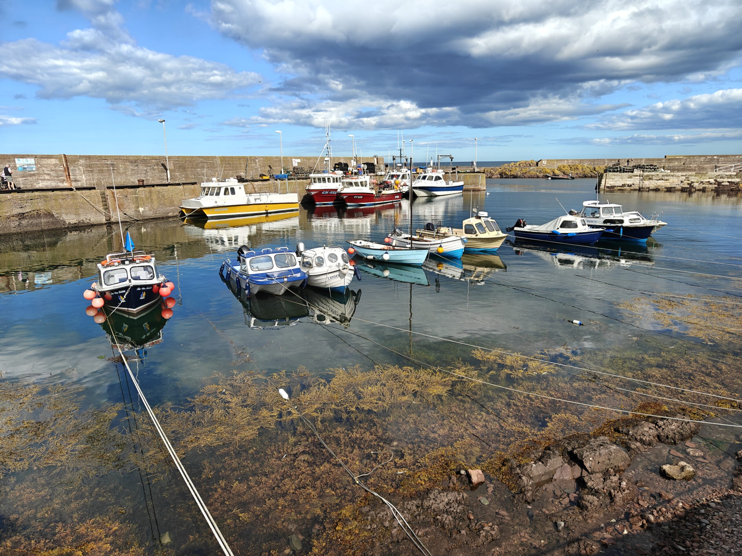 St Abbs, September 2025