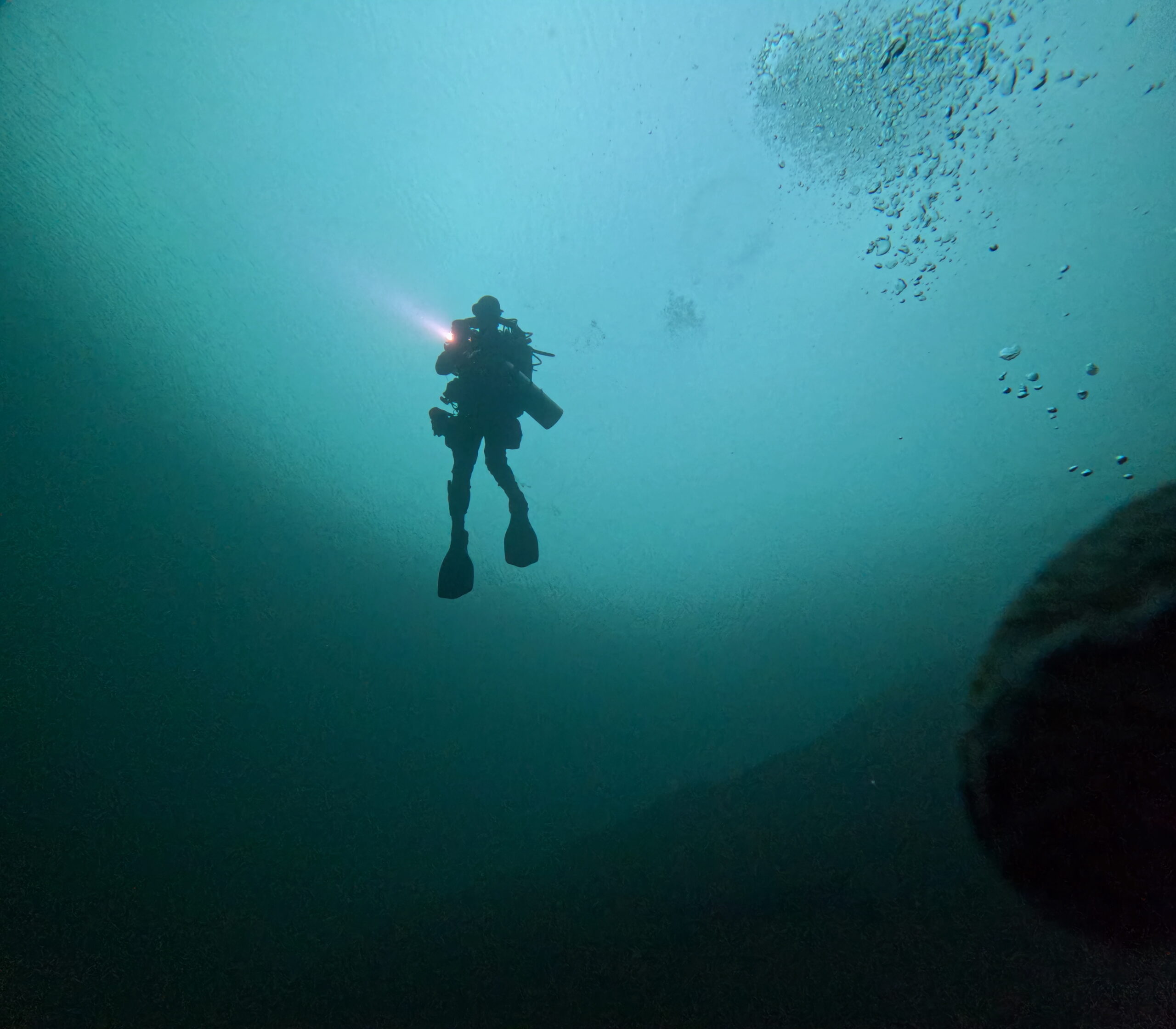 Post Christmas Dive 2025