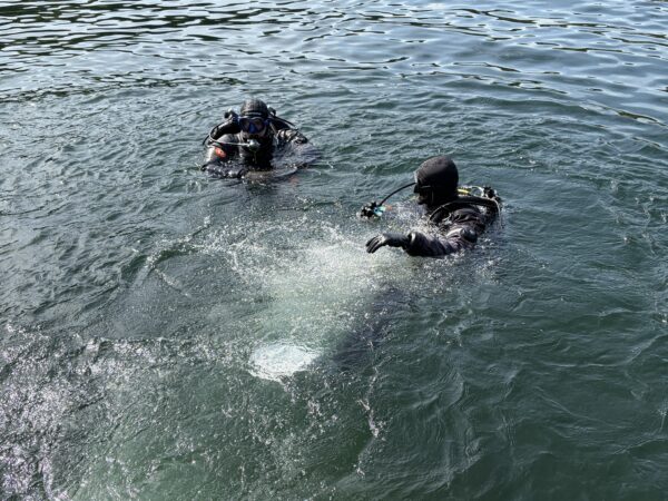 Club Dive Day, October