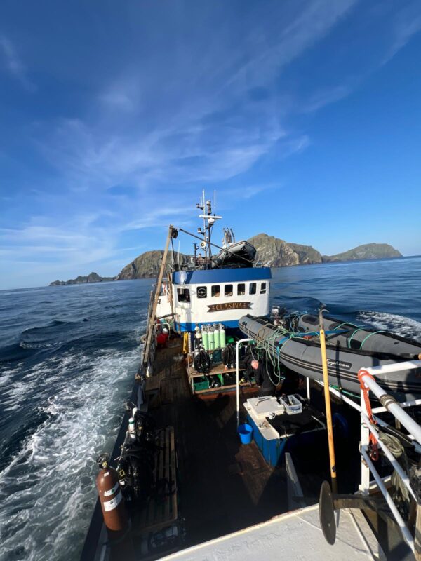Trip Report: Shetland Isles aboard MV Clasina, May 2026