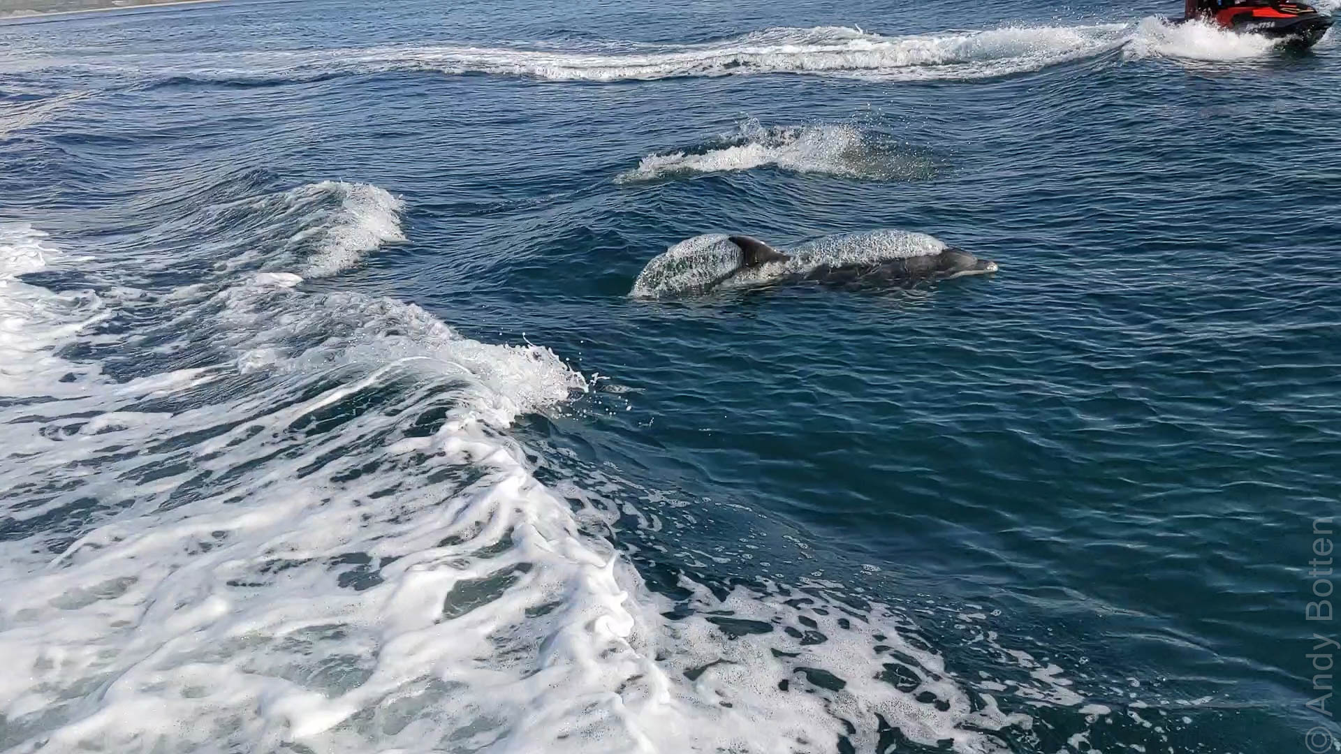 Tango, Weymouth October 2021